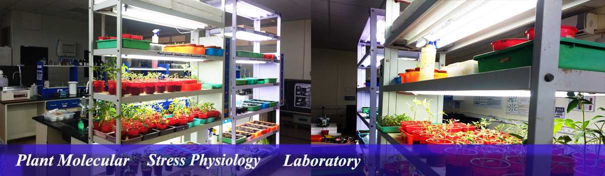Biotechnology-Slider-2